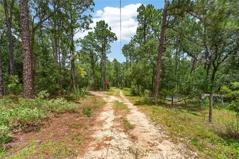 6144 Drew Street Brooksville FL 34604