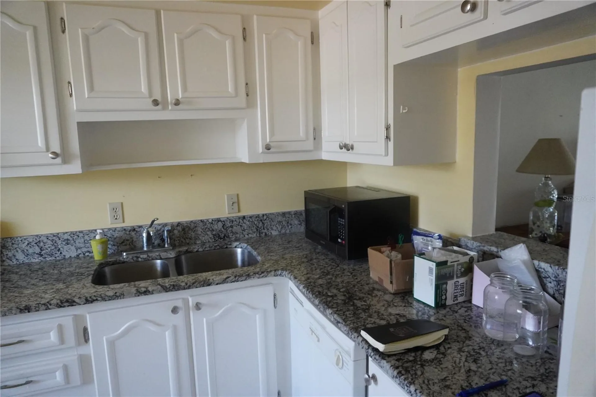 333 Lake Howard Drive NW Winter Haven FL 33880