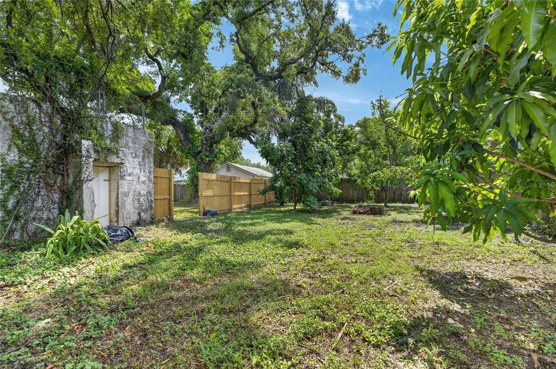 1005 E Flora Street Tampa FL 33604
