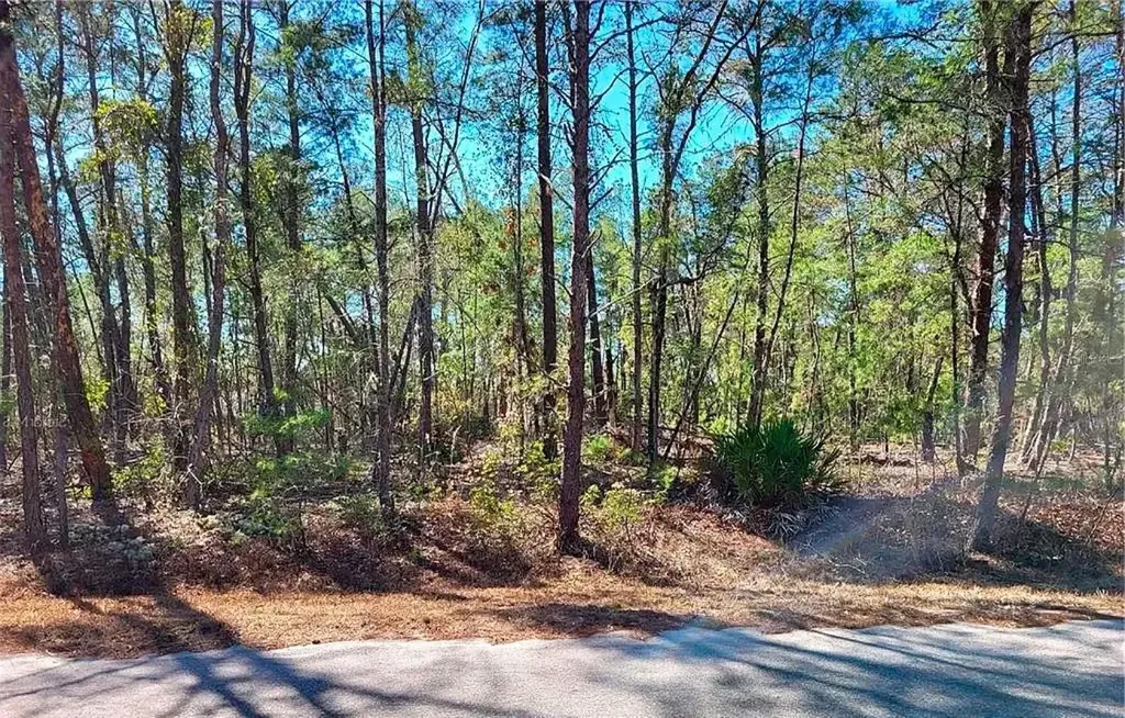76 Fisher Run Terrace Ocklawaha FL 32179