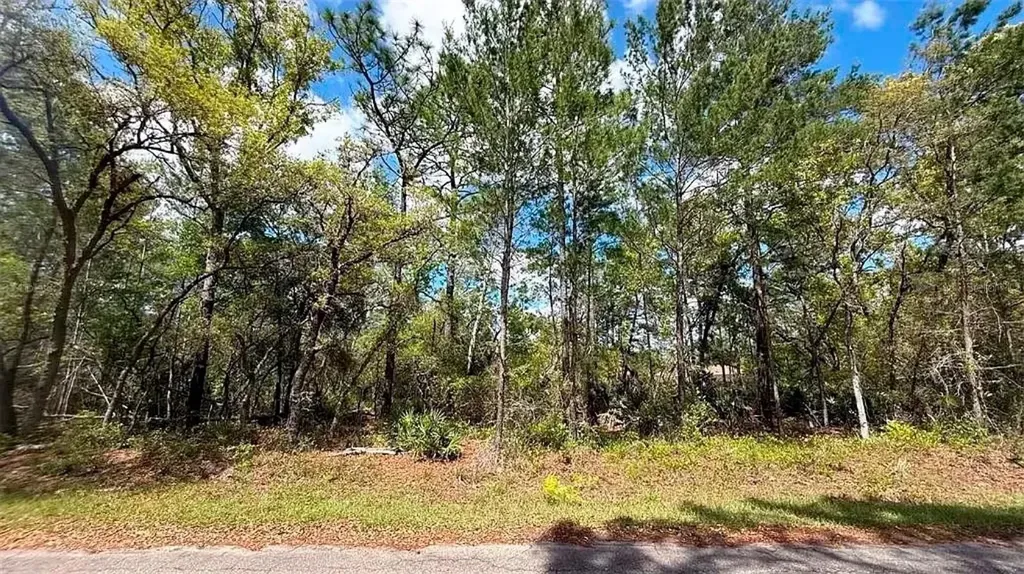 76 Fisher Run Terrace Ocklawaha FL 32179