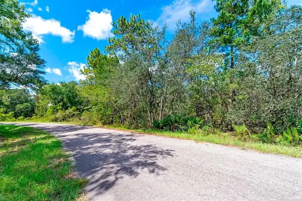 76 Fisher Run Terrace Ocklawaha FL 32179