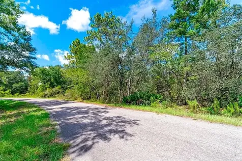 76 Fisher Run Terrace Ocklawaha FL 32179