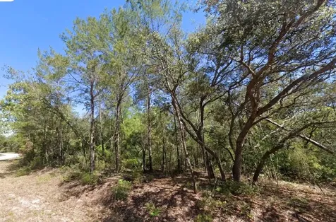 76 Fisher Run Terrace Ocklawaha FL 32179