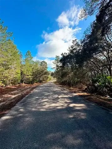 76 Fisher Run Terrace Ocklawaha FL 32179