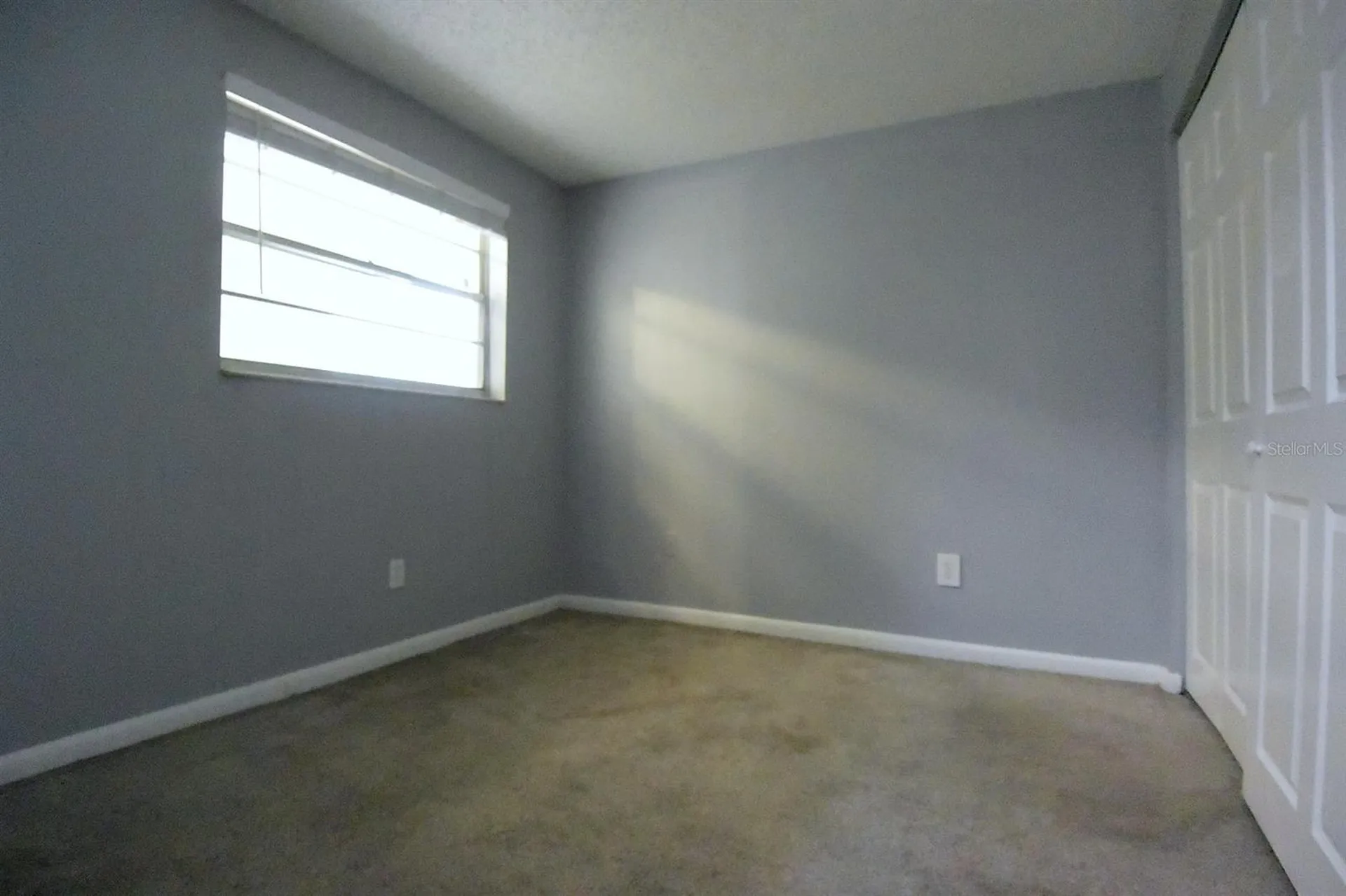 8235 Donaldson Drive Tampa FL 33615