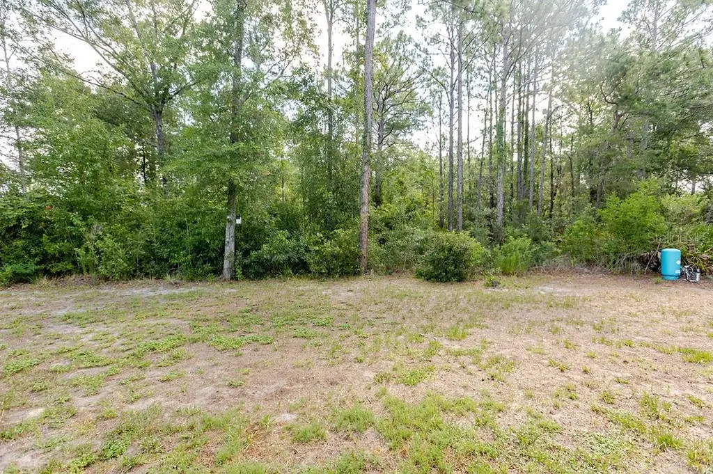 12307 Millington Avenue Weeki Wachee FL 34614