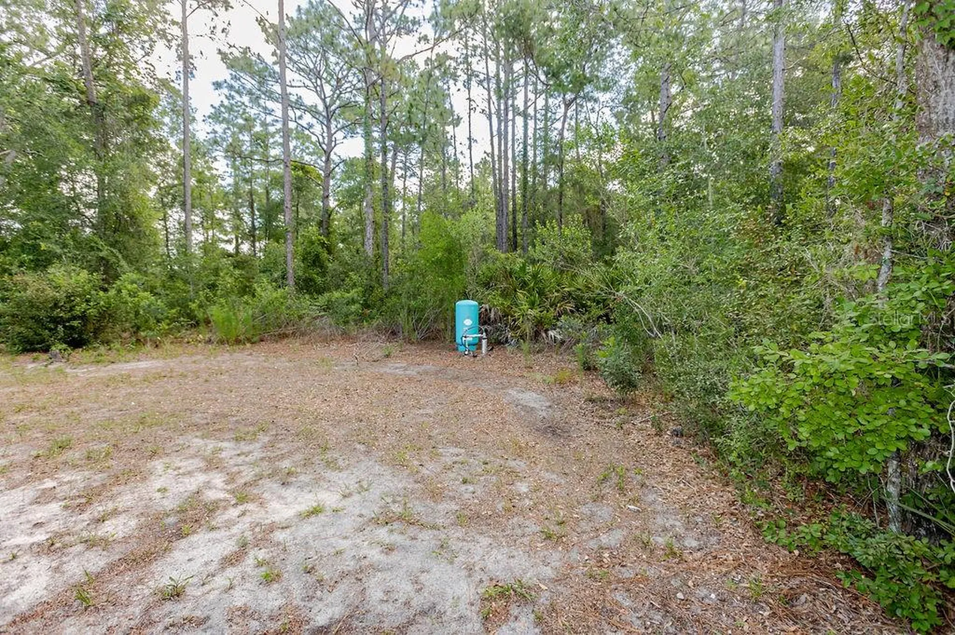 12307 Millington Avenue Weeki Wachee FL 34614