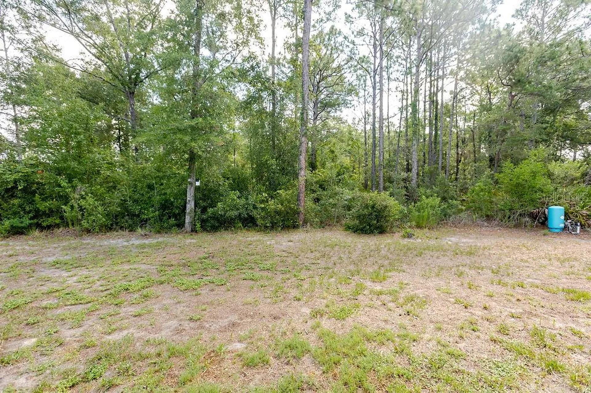 12307 Millington Avenue Weeki Wachee FL 34614