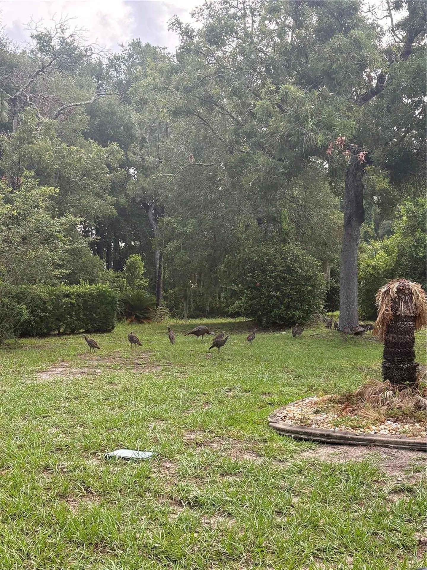 8795 SW 108th Street Ocala FL 34481