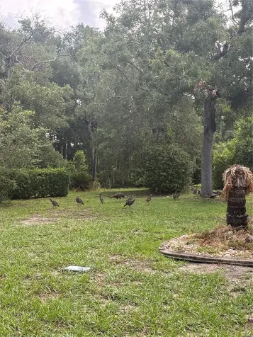 8795 SW 108th Street Ocala FL 34481