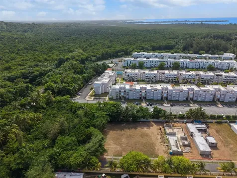 Las Picúas Ocean Forest Rio Grande PR 00745