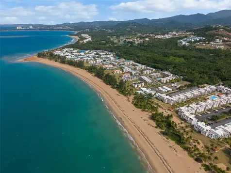 Las Picúas Ocean Forest Rio Grande PR 00745