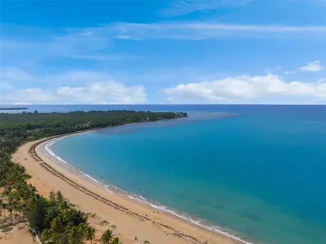 Las Picúas Ocean Forest Rio Grande PR 00745