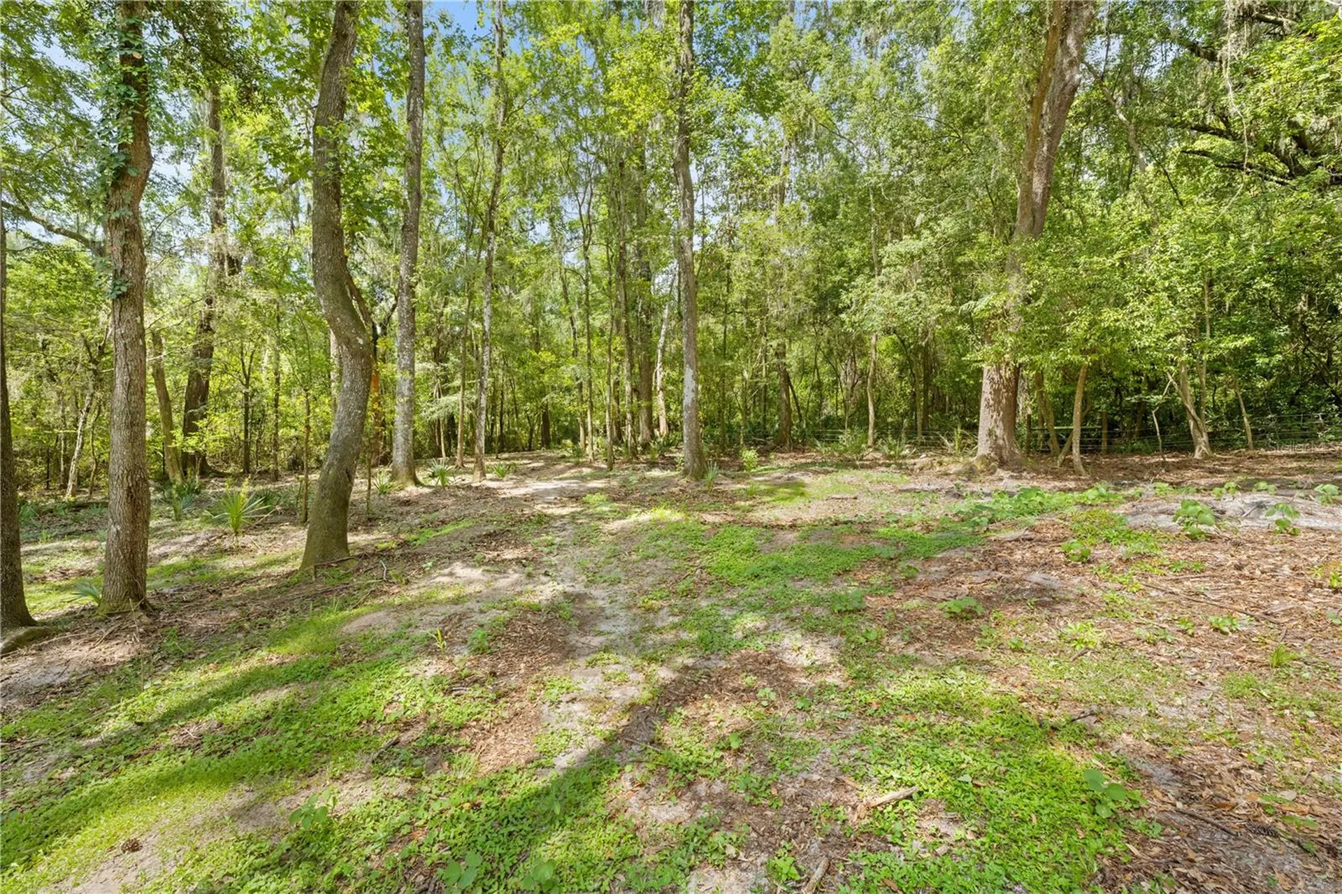 3311 Baseball Pond Road Brooksville FL 34602