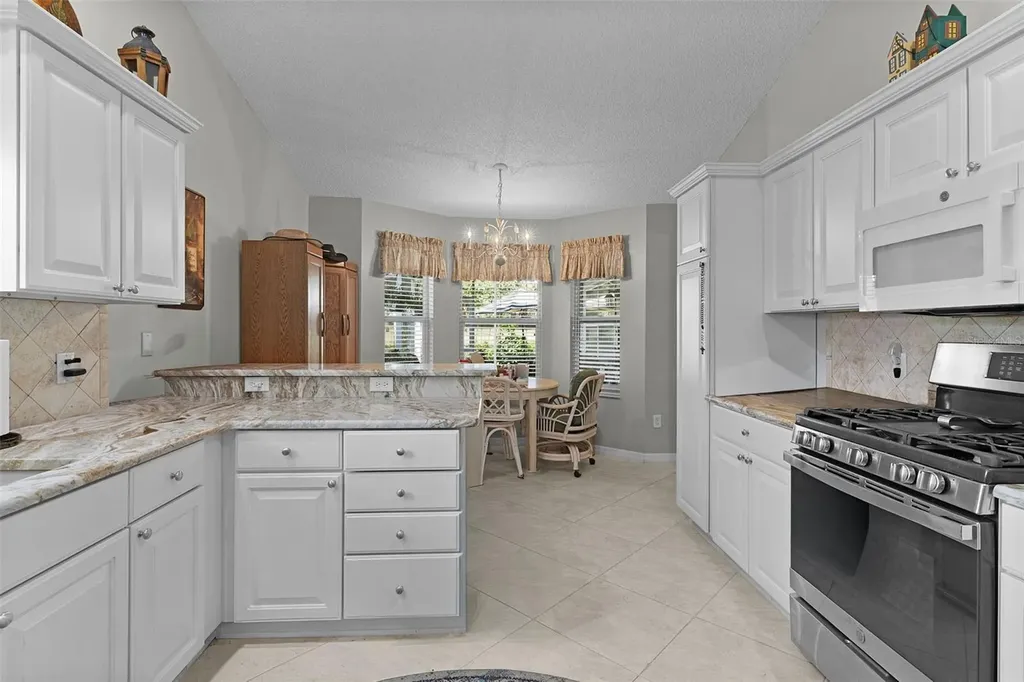 16846 SE 80th Bellavista Circle The Villages FL 32162
