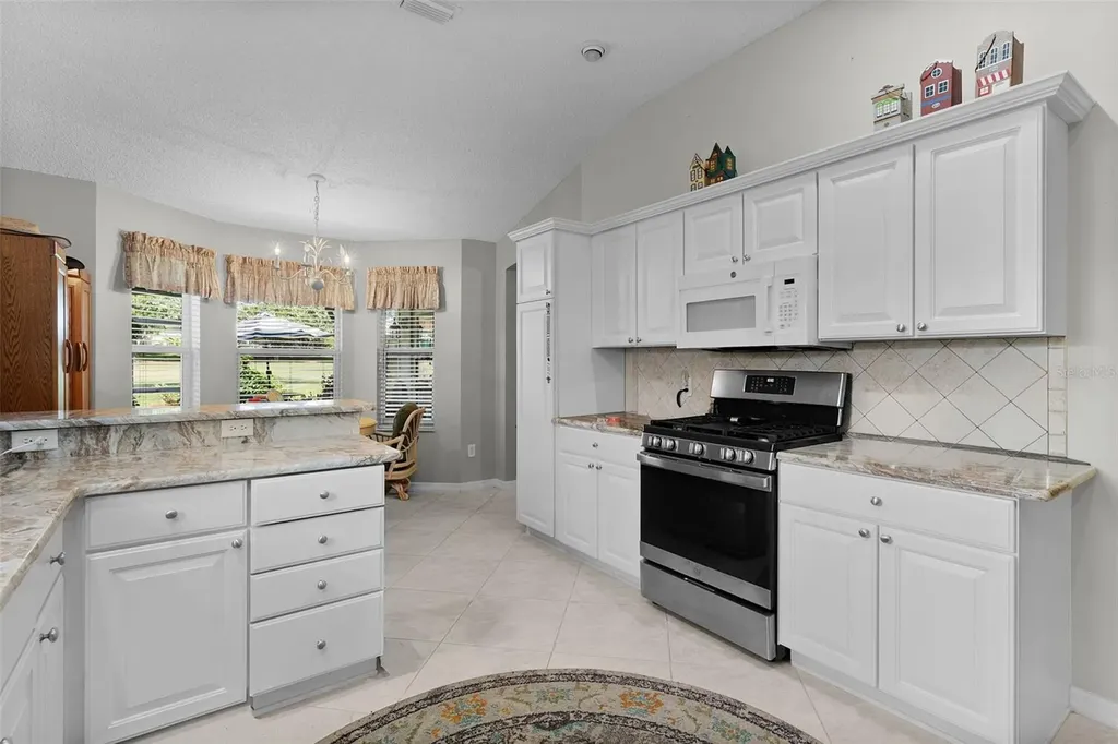 16846 SE 80th Bellavista Circle The Villages FL 32162