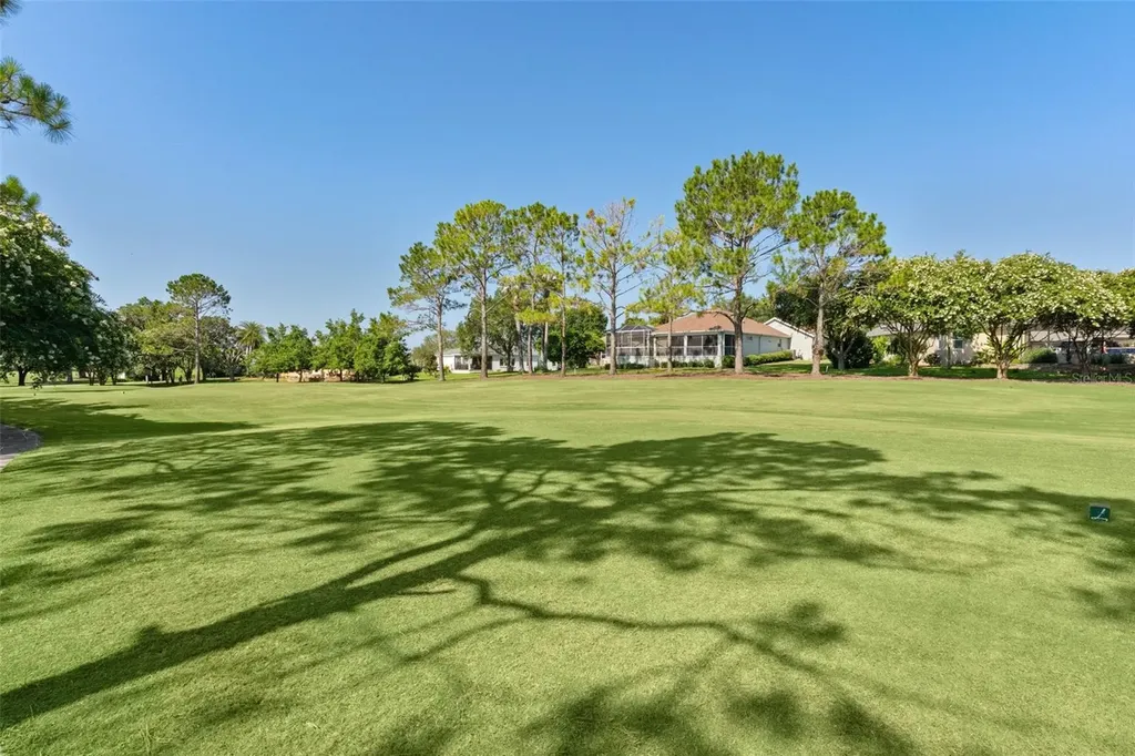 16846 SE 80th Bellavista Circle The Villages FL 32162