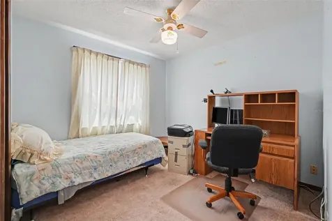 2815 Linden Tree Street Seffner FL 33584
