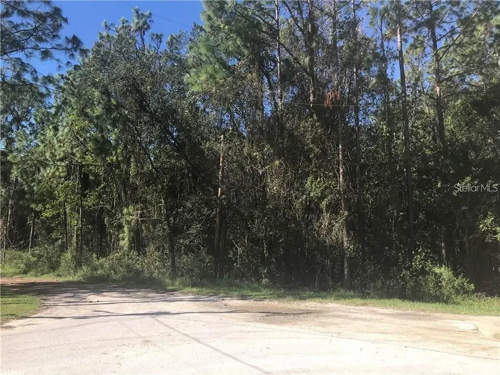 7341 Westpoint Drive Wesley Chapel FL 33544