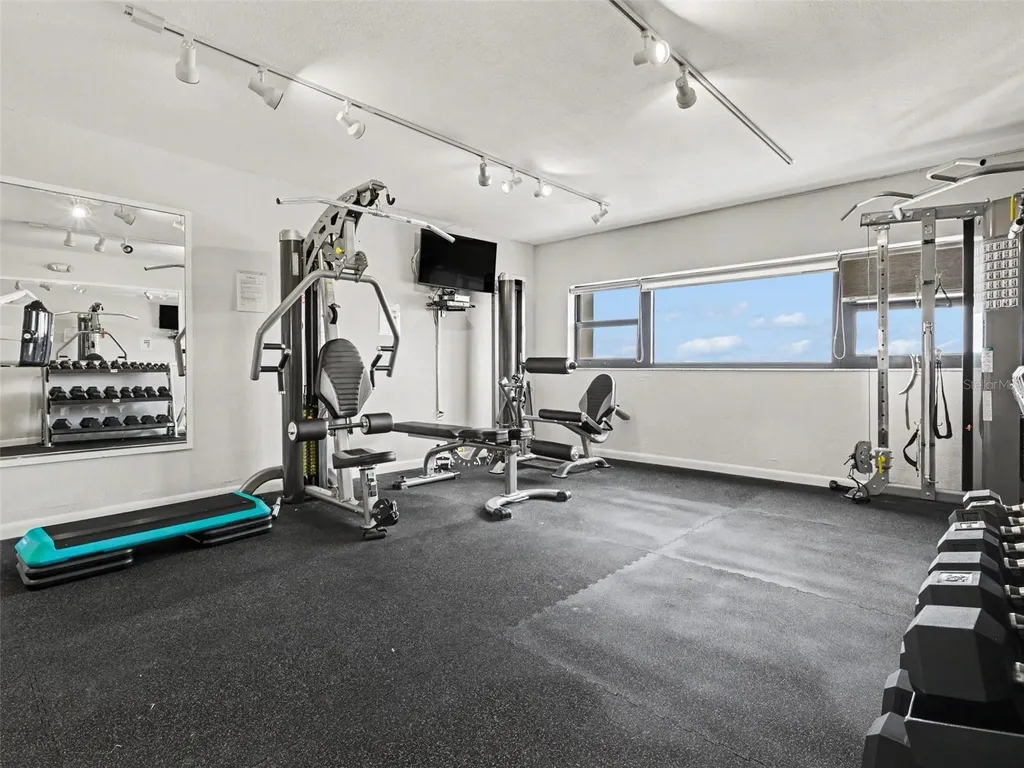 4141 Bayshore Boulevard Tampa FL 33611