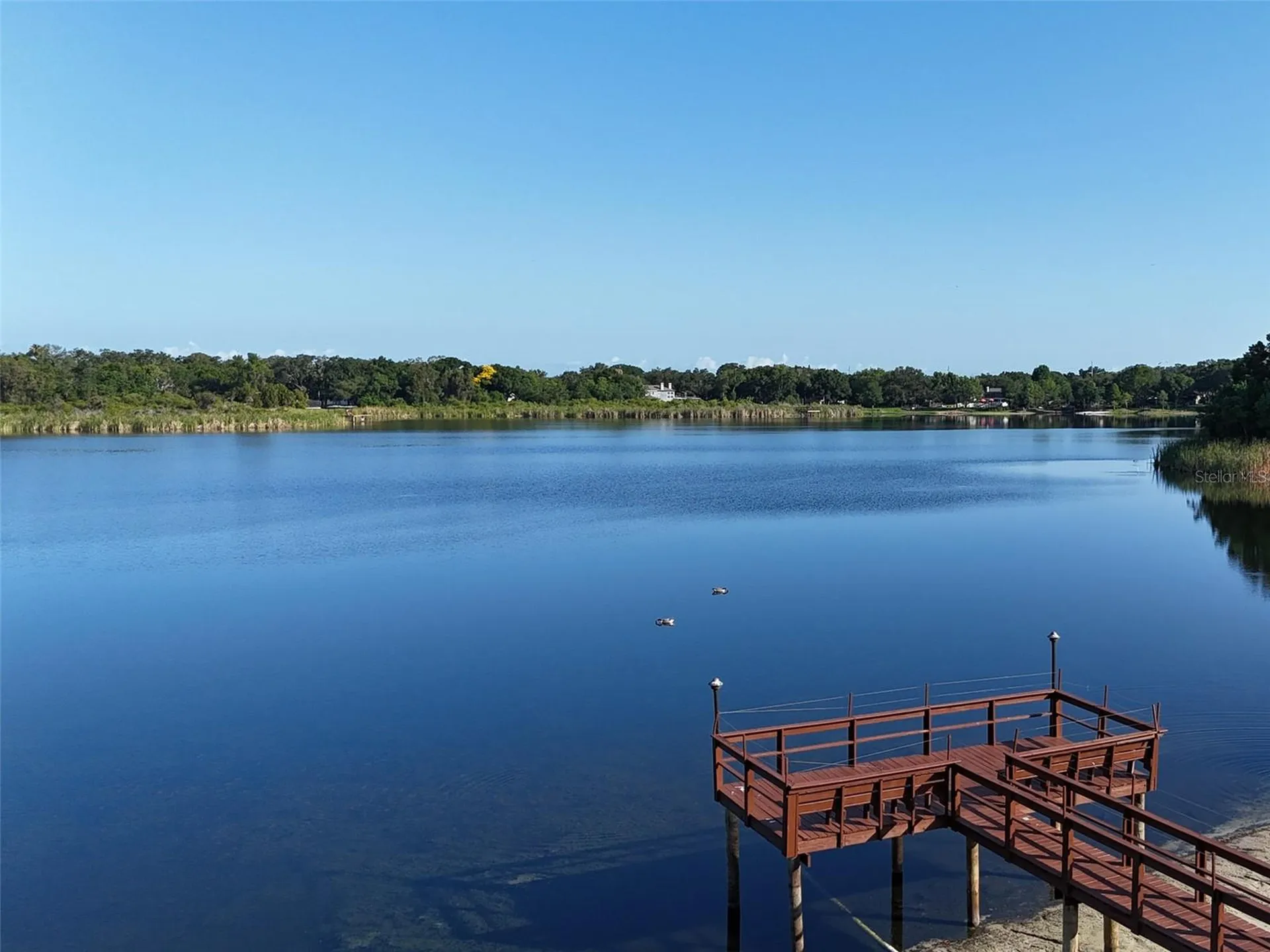2065 Grove Lane Clearwater FL 33763