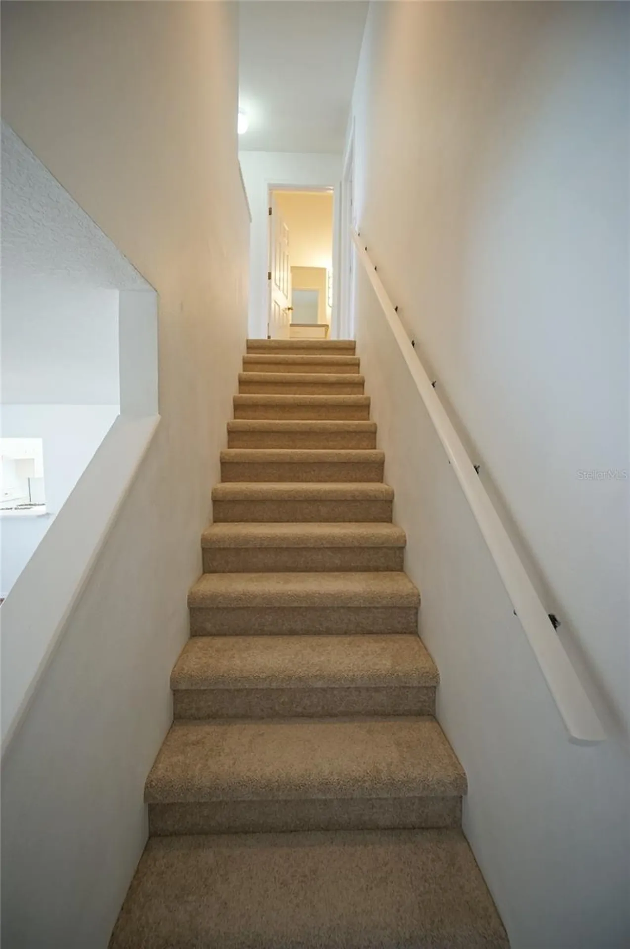 24606 Victoria Wood Court Lutz FL 33559