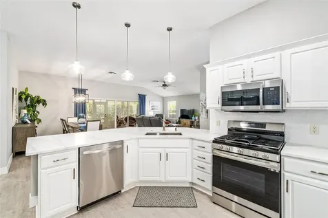 17843 SE 87th Bourne Avenue The Villages FL 32162