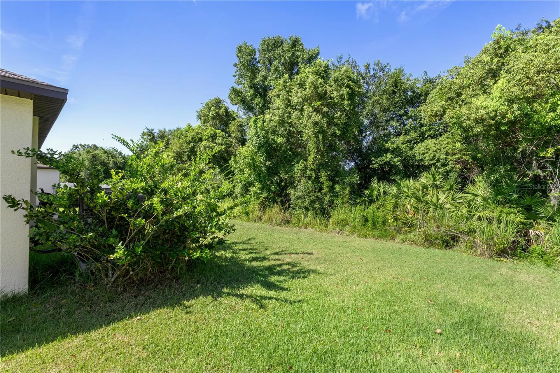 2987 Moulden Hollow Drive Zephyrhills FL 33540