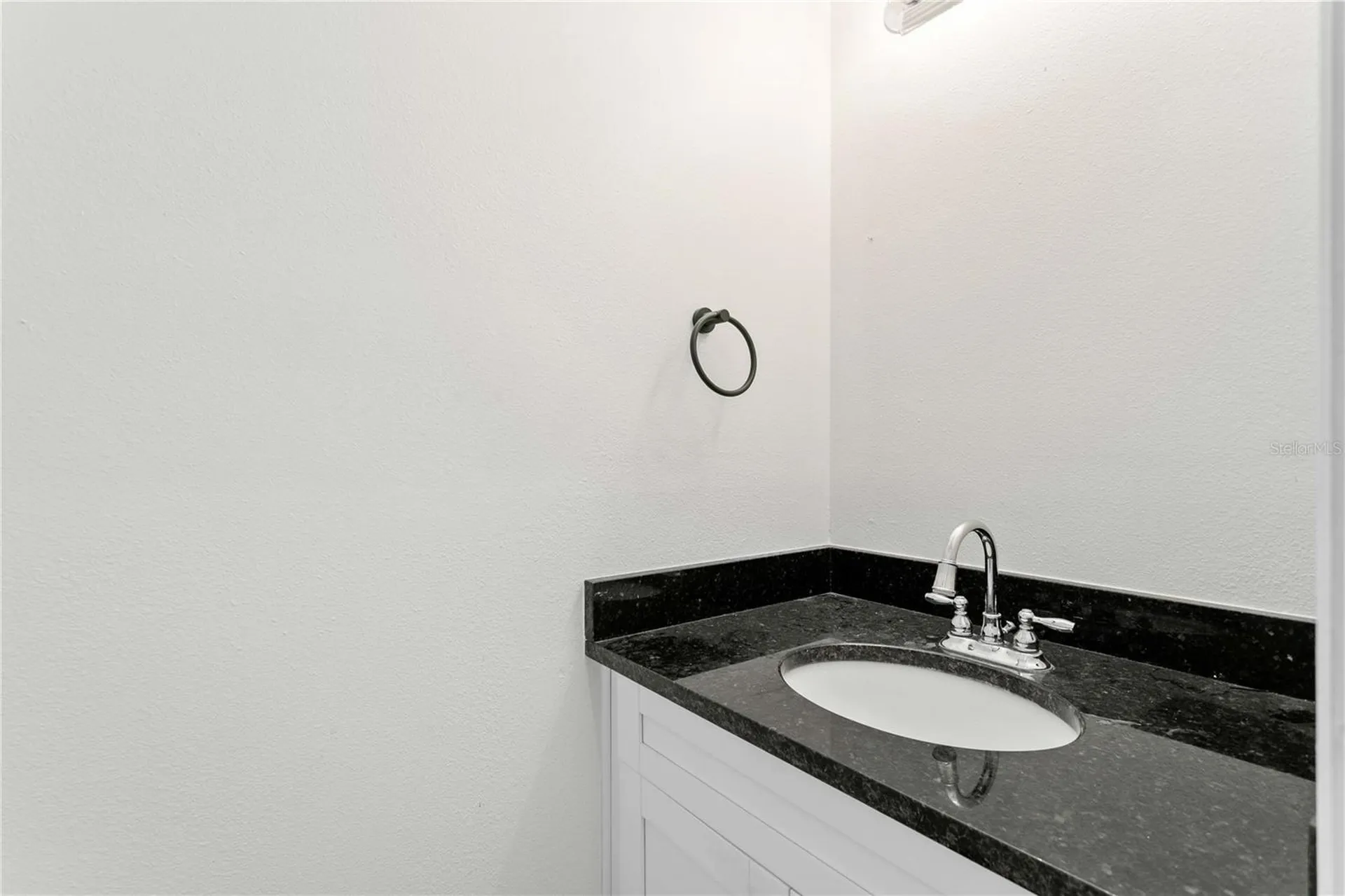 11844 Branch Mooring Drive Tampa FL 33635
