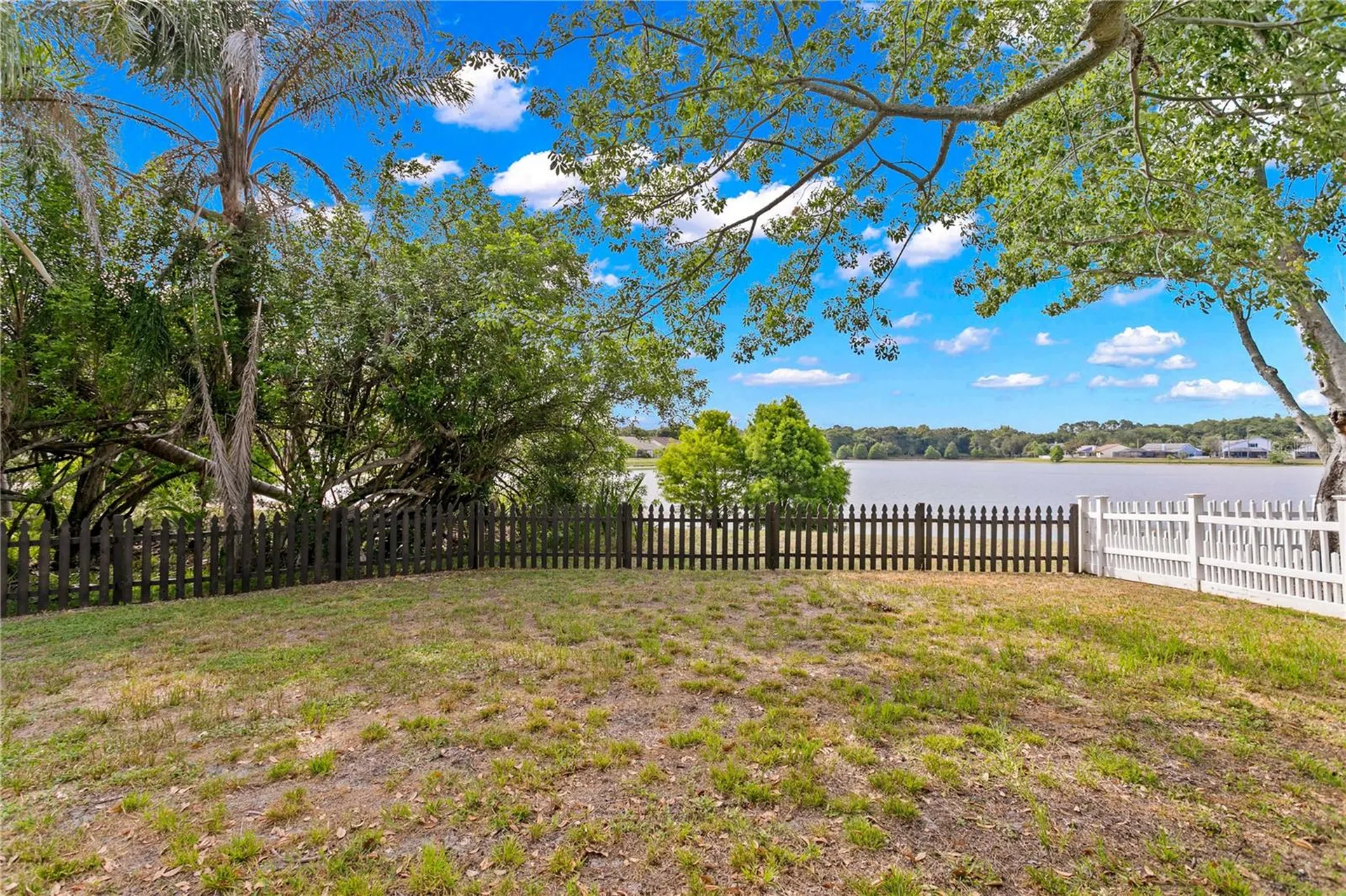 11844 Branch Mooring Drive Tampa FL 33635