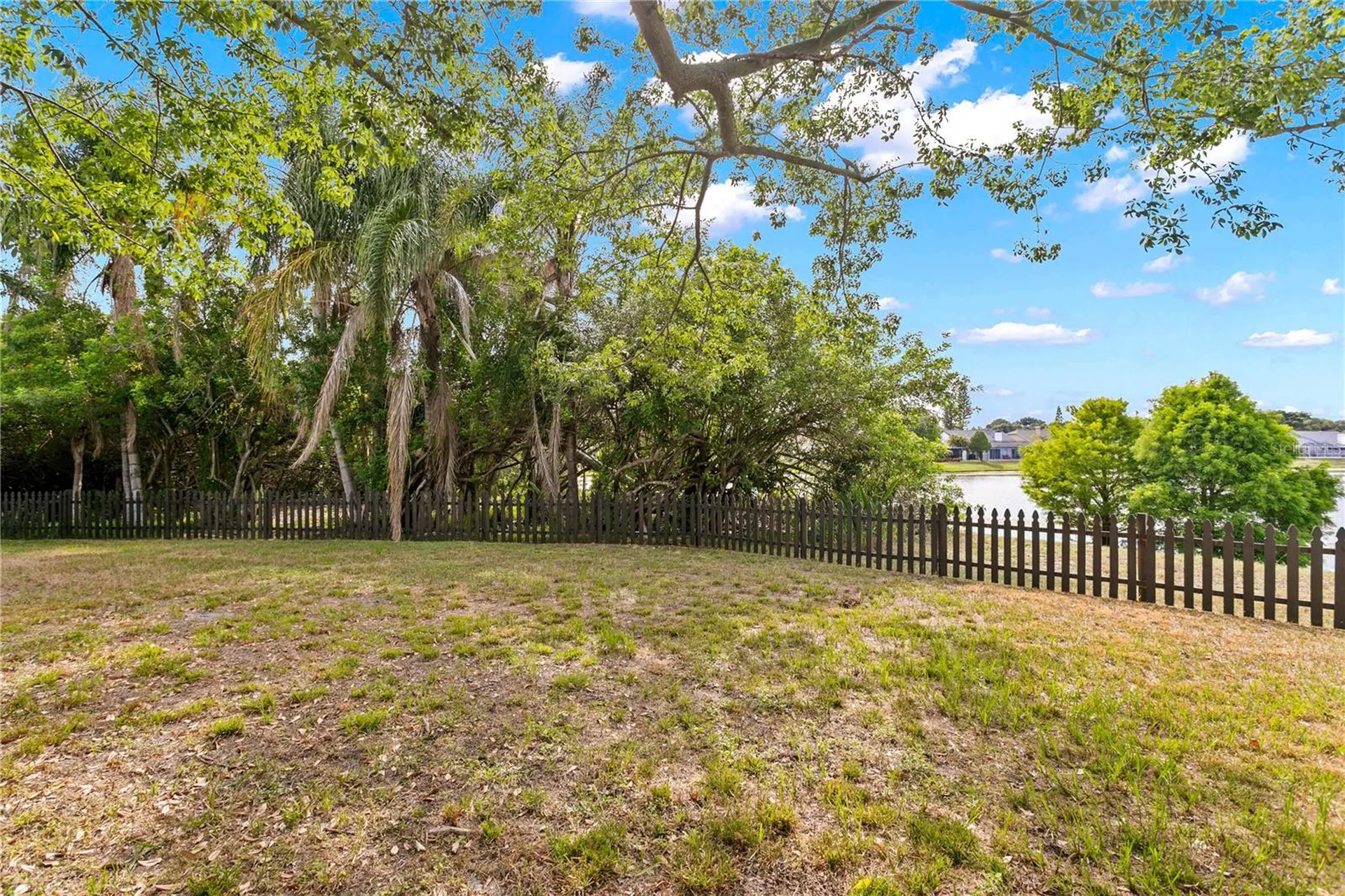 11844 Branch Mooring Drive Tampa FL 33635