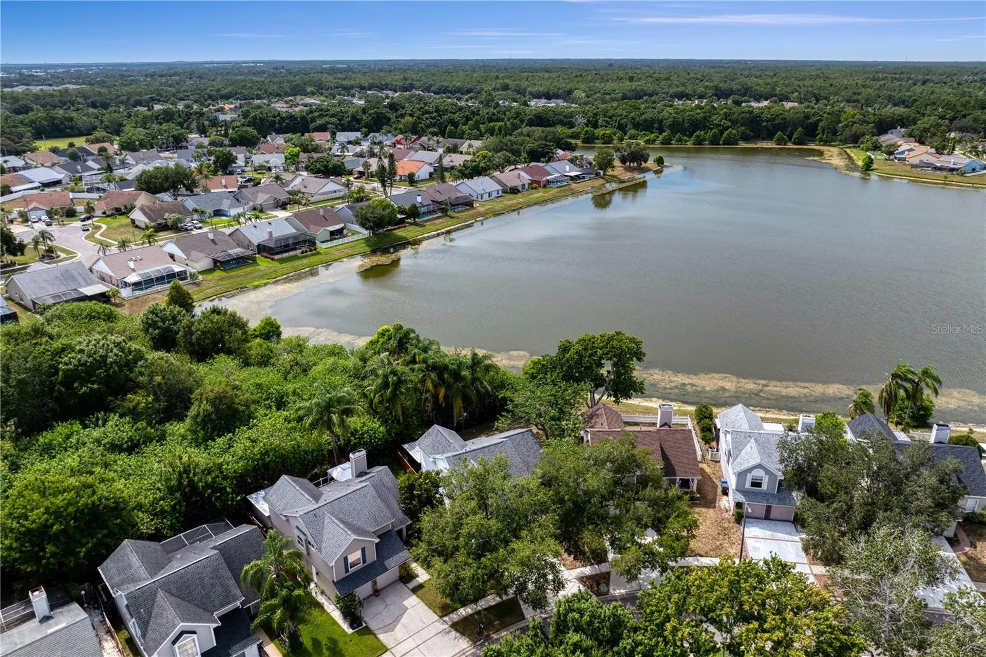 11844 Branch Mooring Drive Tampa FL 33635