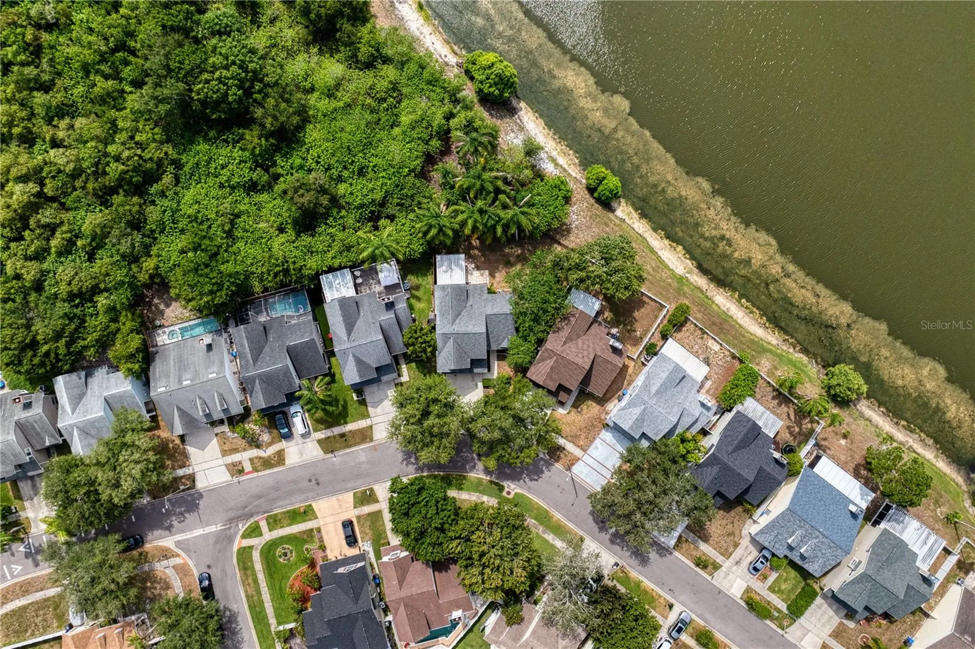 11844 Branch Mooring Drive Tampa FL 33635