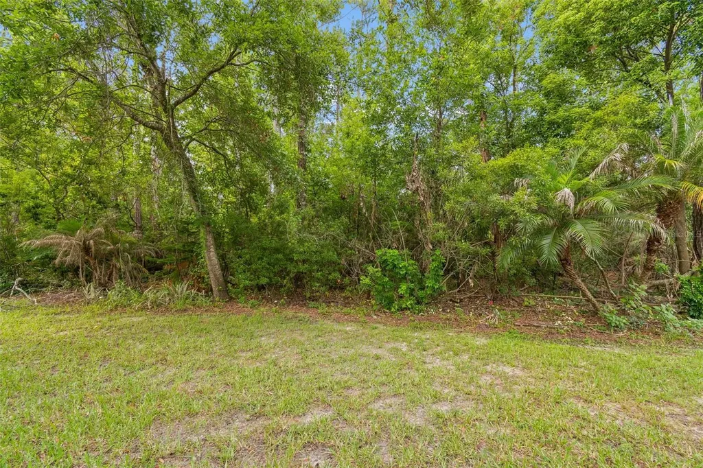 34534 Dellwood Way Zephyrhills FL 33541