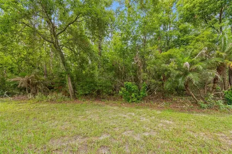 34534 Dellwood Way Zephyrhills FL 33541