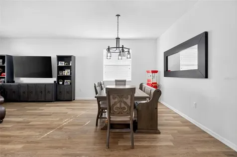 4841 Havilland Drive Mount Dora FL 32757