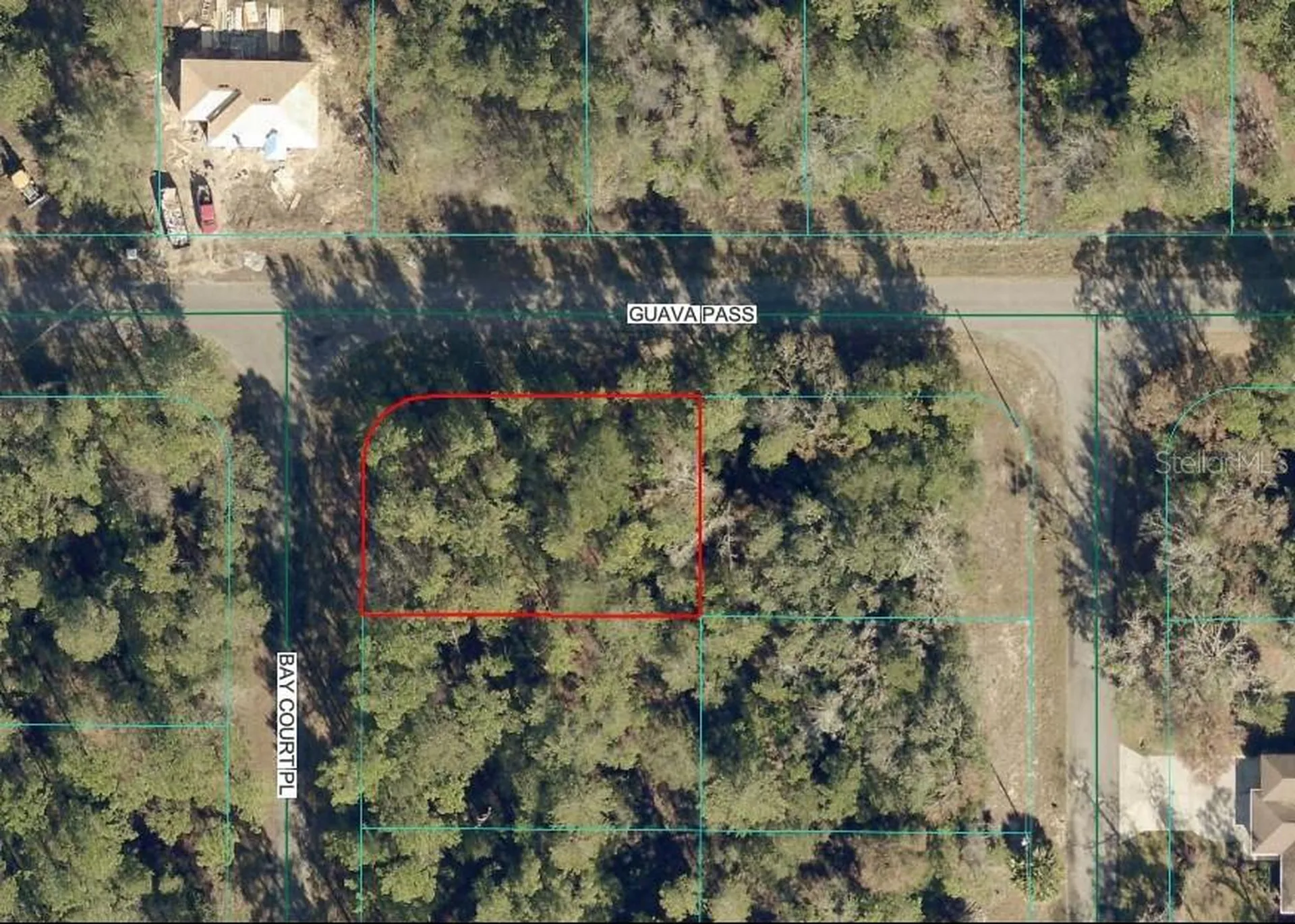 00 Guava Pass Ocklawaha FL 32179