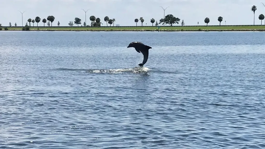 8822 Bay Pointe Drive Tampa FL 33615