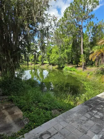 1822 Branch Forbes Road Plant City FL 33565