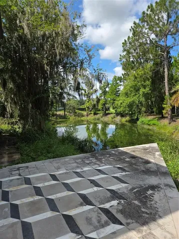 1822 Branch Forbes Road Plant City FL 33565