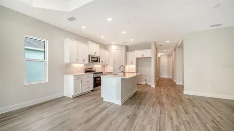 4408 Spoon Blade Drive Parrish FL 34219