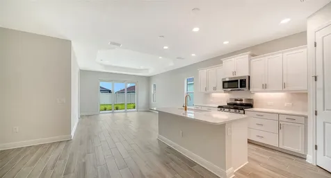 4408 Spoon Blade Drive Parrish FL 34219