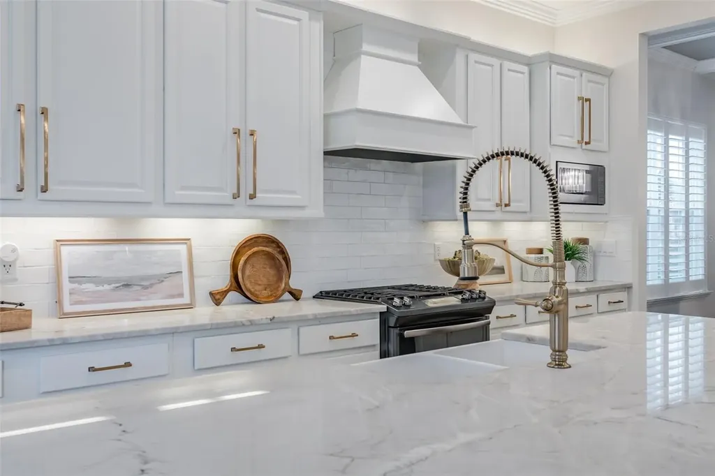 2388 Oakwood Preserve Drive Wesley Chapel FL 33543