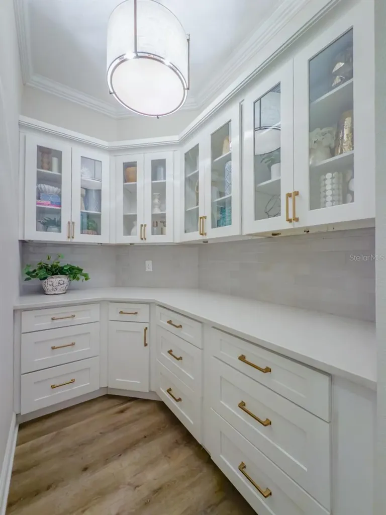 2388 Oakwood Preserve Drive Wesley Chapel FL 33543