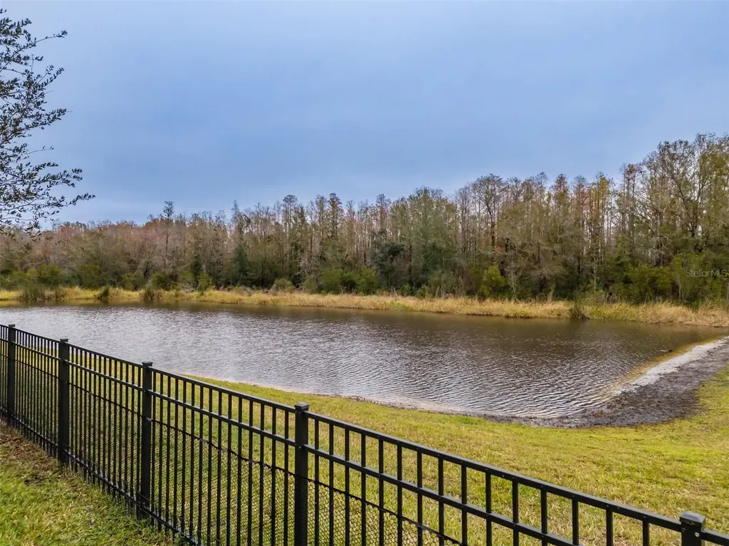2388 Oakwood Preserve Drive Wesley Chapel FL 33543