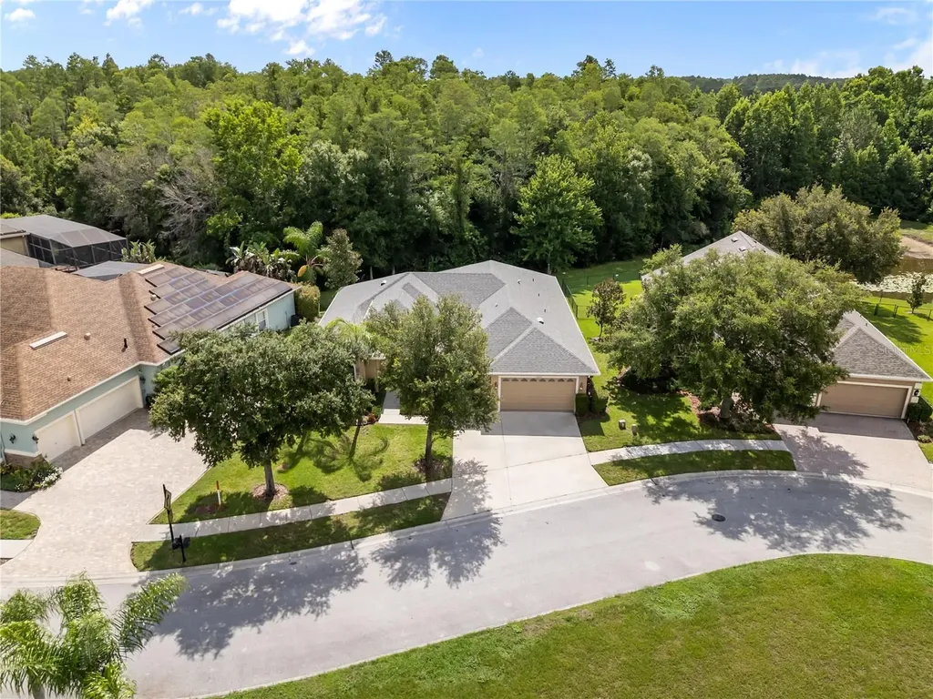 14834 Man O War Drive Odessa FL 33556