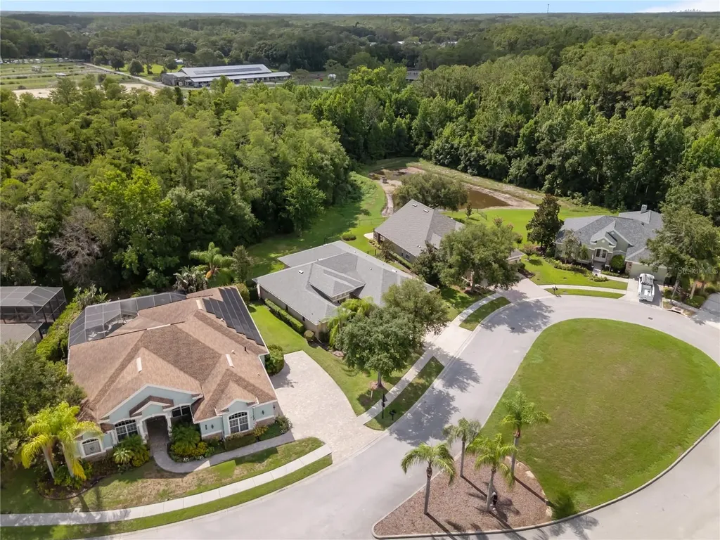 14834 Man O War Drive Odessa FL 33556