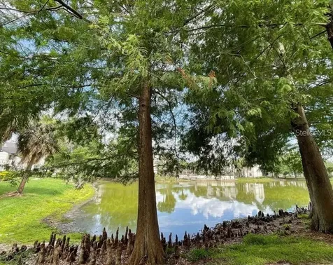 1948 Lake Atriums Circle Orlando FL 32839