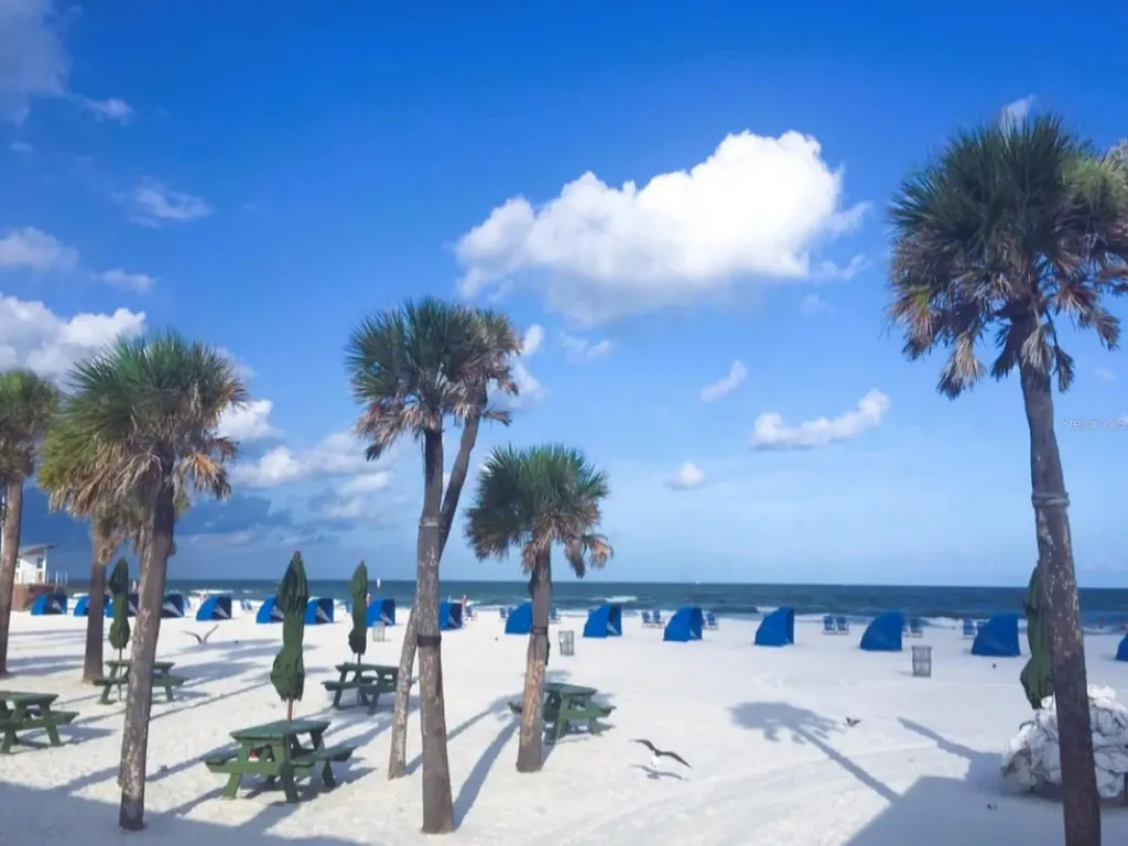 3198 Claremont Place Palm Harbor FL 34683